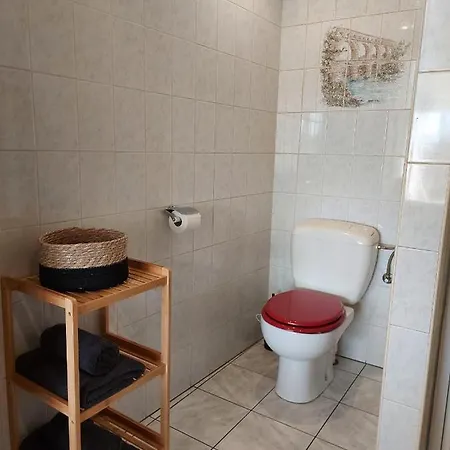 Appartement Rdc Plein Centre Avec Terrasse *