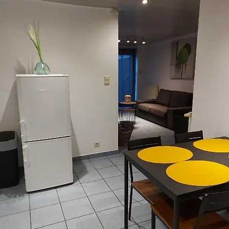 Apartment Rdc Plein Centre Avec Terrasse
