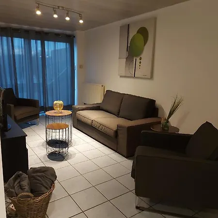 Rdc Plein Centre Avec Terrasse Apartment Vise